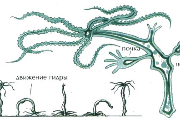 Удалился аккаунт кракен