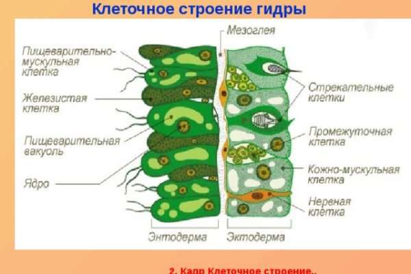 Кракен запрещенные вещества