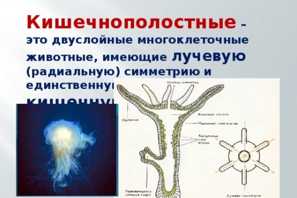 Рабочая ссылка на кракен