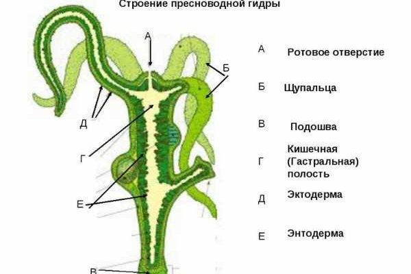 Kraken маркетплейс kr2web in